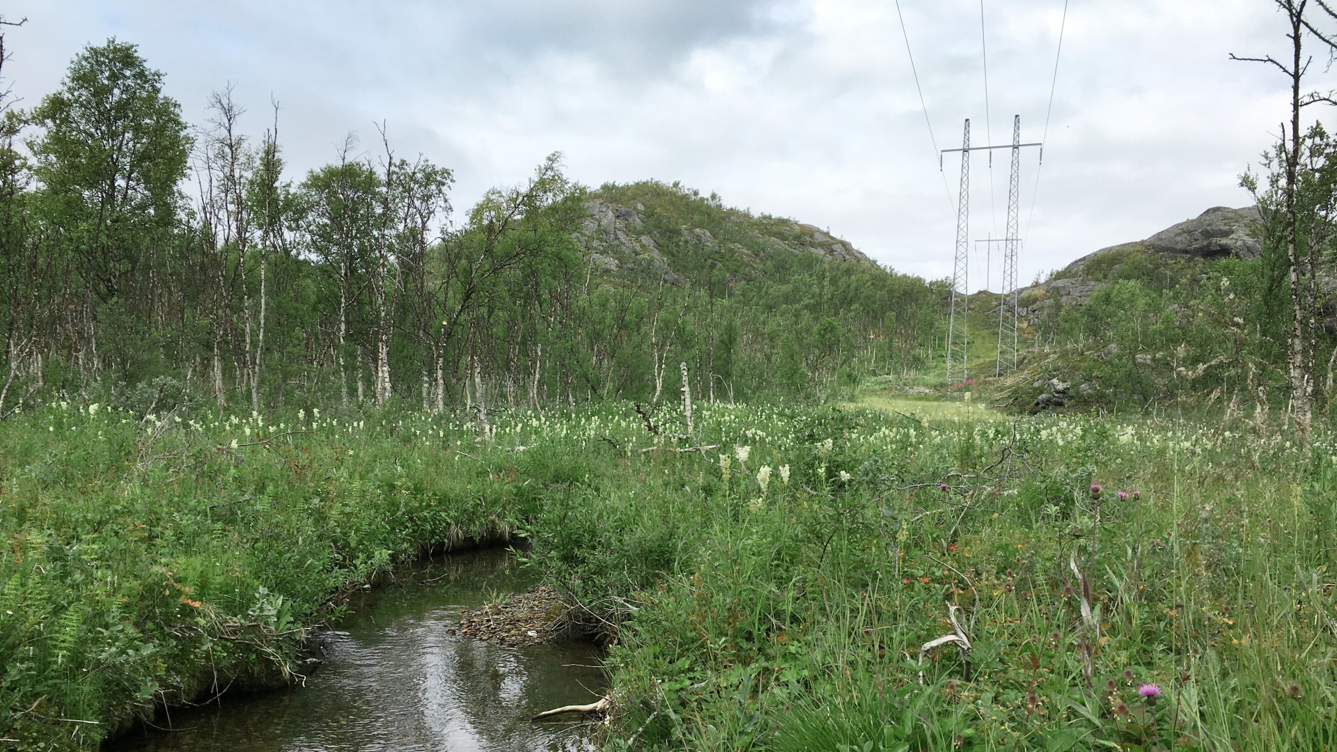 Power lines
